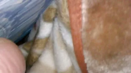 Blacks knulla i vackra kåta kvinnor två flickvänner stammen efter att ha spelat vid poolen